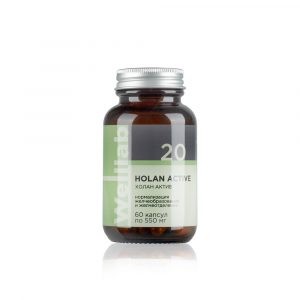 Welllab HOLAN ACTIVE, 60 капсул 4